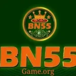 Bn55 Game