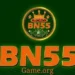 Bn55 Game